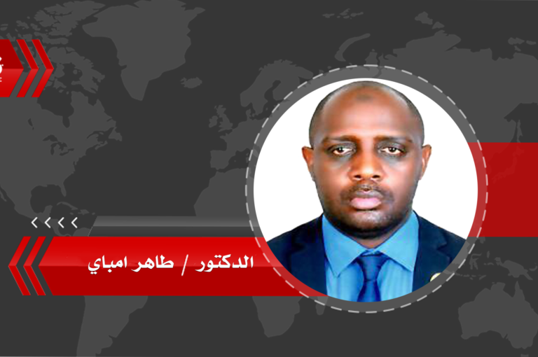 دور المجتمع المدني في ترسيخ التعايش السلمي في إفريقيا