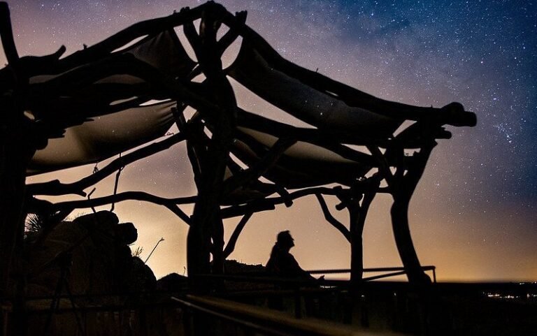 متحف صحراء أريزونا سونورا