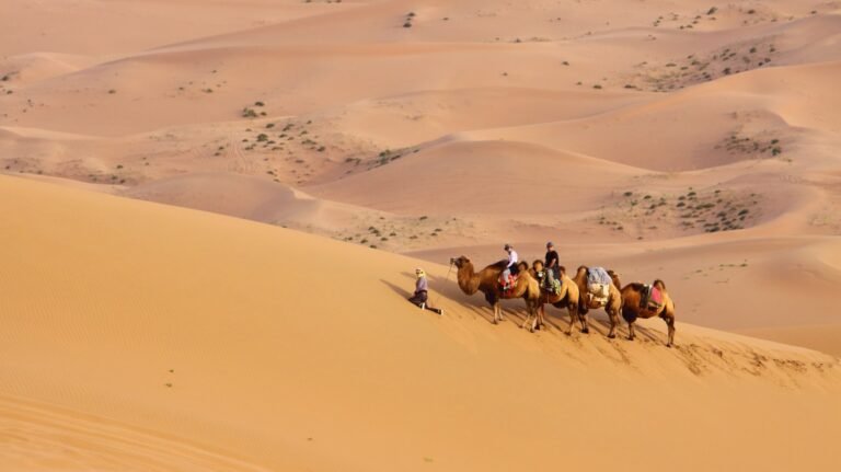 أفضل الصحارى حول العالم: